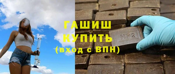 гашик Алексин