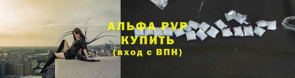 гашик Алексин