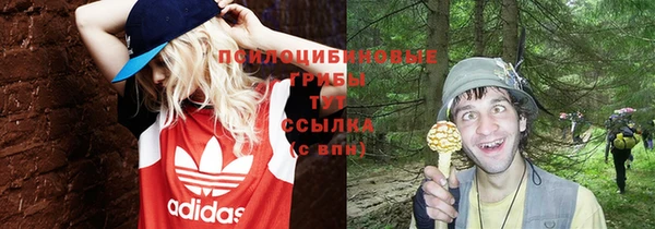 герыч Алзамай