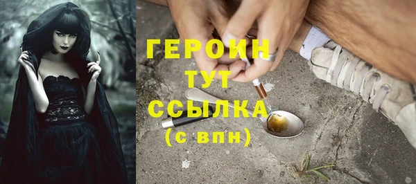 гашик Алексин