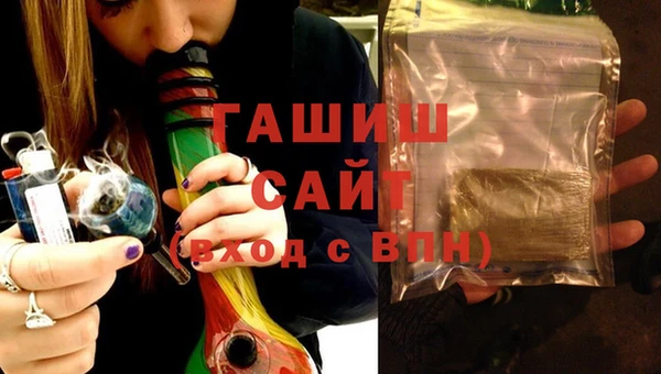 гашик Алексин