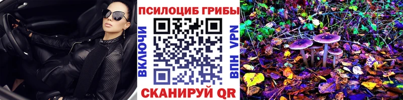 Псилоцибиновые грибы Cubensis  ОМГ ОМГ ТОР  Благовещенск  магазин продажи  