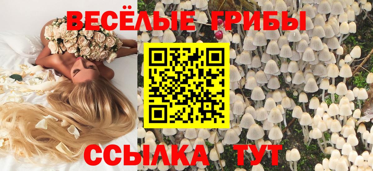 Галлюциногенные грибы MAGIC MUSHROOMS Благовещенск